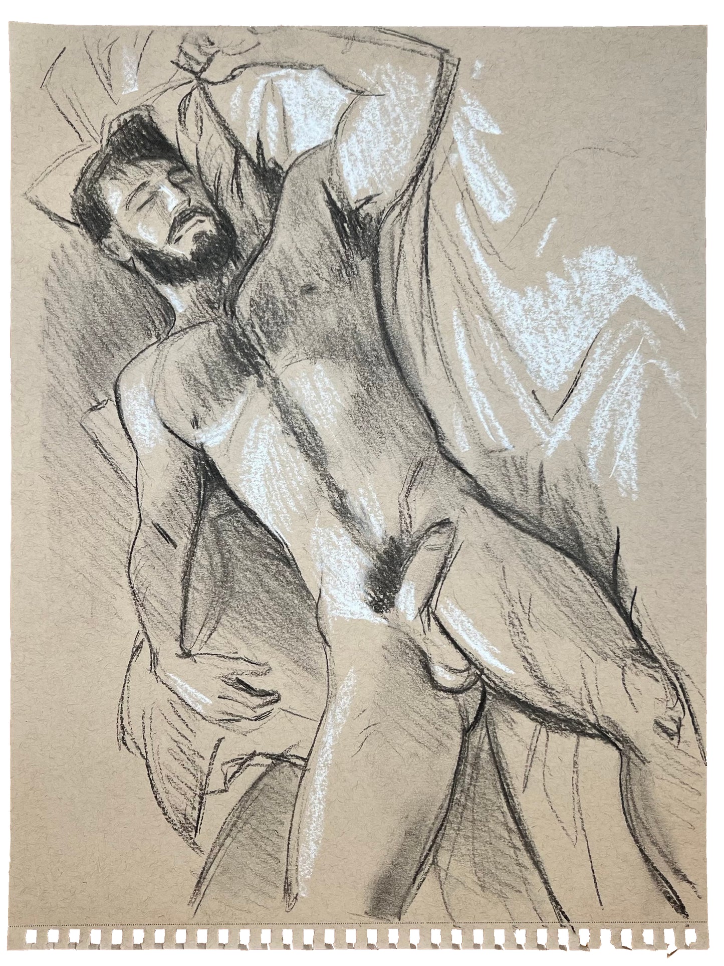 Ardillagenocida Drawing 4