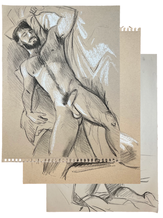 Ardillagenocida (Set of 3)