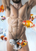 somnarium 3